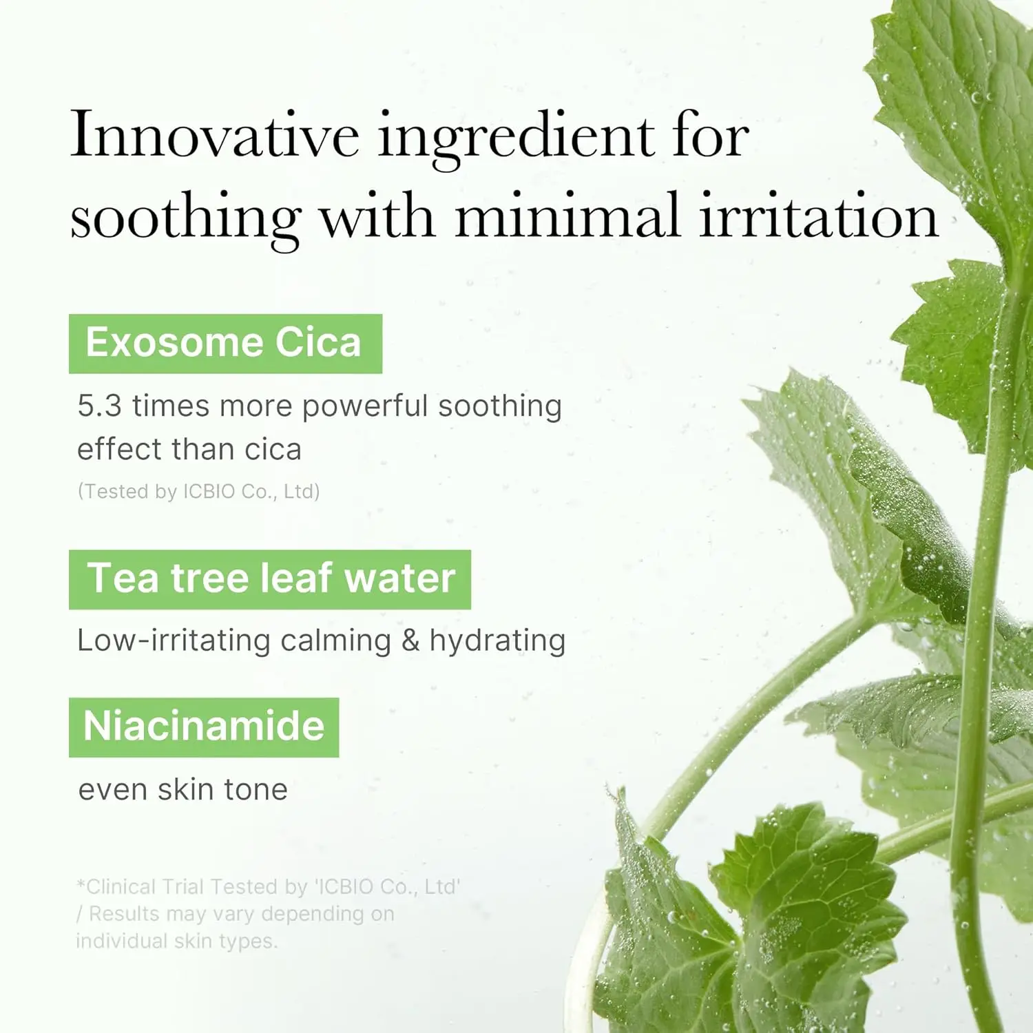 MEDICUBE Exosome Cica Tea Tree Calming Toner Pads